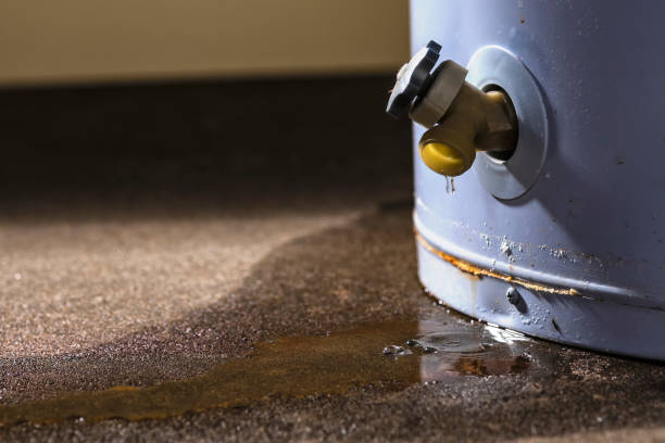 Best Sewage cleanup and water damage restoration  in Bethel, WA