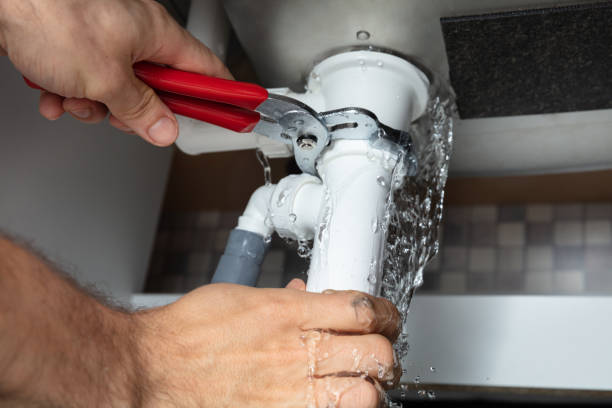 Best Water damage restoration near me  in Bethel, WA