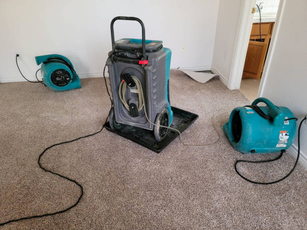 Best Local water damage restoration  in Bethel, WA