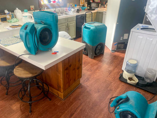 Best Residential water damage restoration  in Bethel, WA