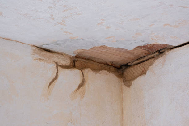 Best Flood restoration services  in Bethel, WA