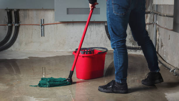 Best Ceiling water damage repair  in Bethel, WA
