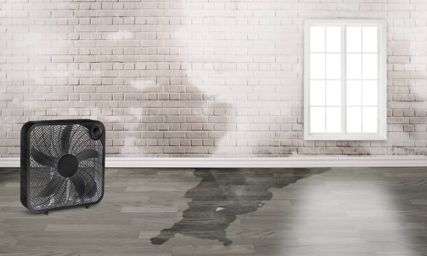 Best Commercial water damage restoration  in Bethel, WA