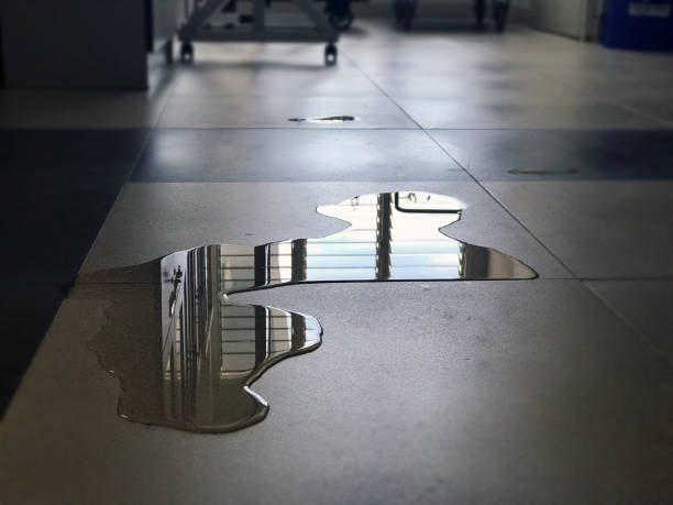 Best Emergency water damage restoration  in Bethel, WA