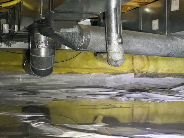 Best Carpet water damage restoration  in Bethel, WA