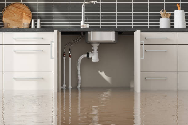 Best Flooded house restoration  in Bethel, WA