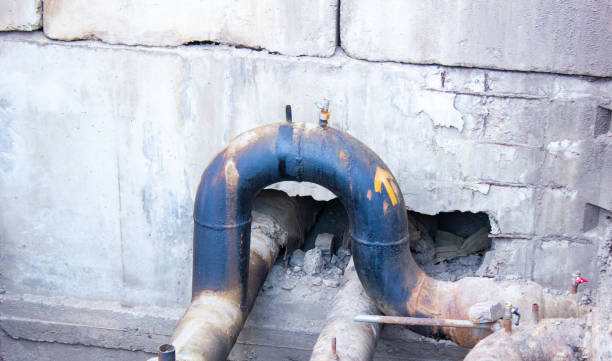 Best Water damage restoration near me  in Bethel, WA