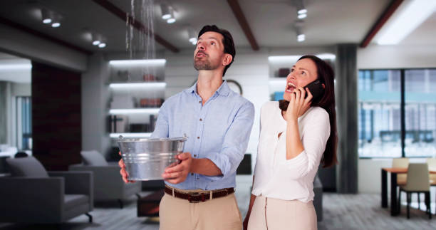 Best Water damage contractors near me  in Bethel, WA