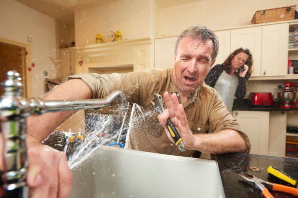 Best Basement water damage restoration  in Bethel, WA